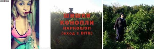 прущий лед Тайга